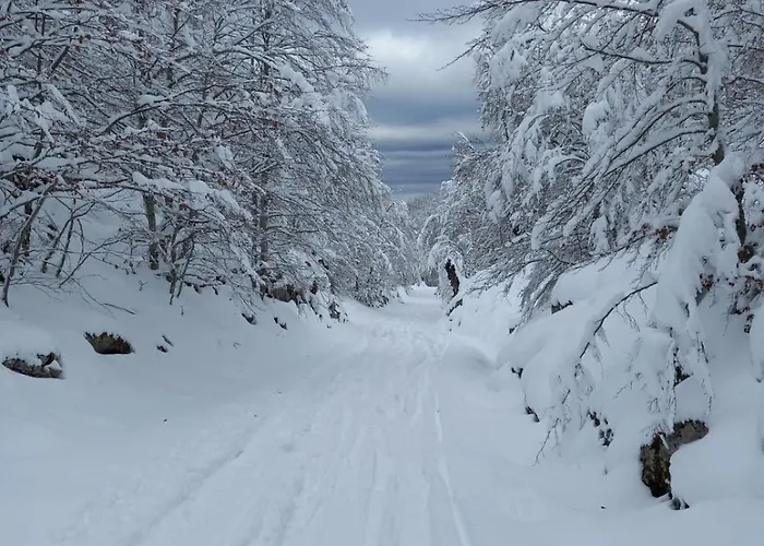La Place Lejlighed Eaux-Bonnes